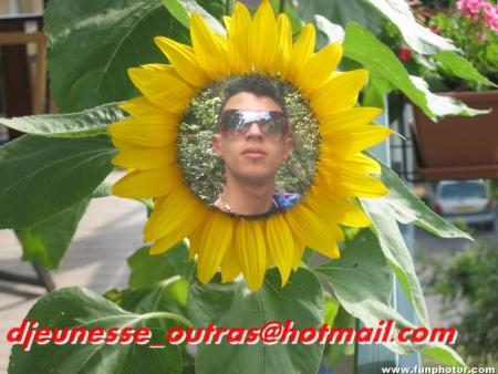 hamouza